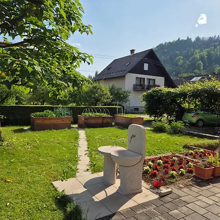Silic Apartma Bled