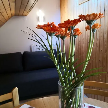 Apartman Silic