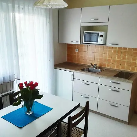 Silic Apartment *